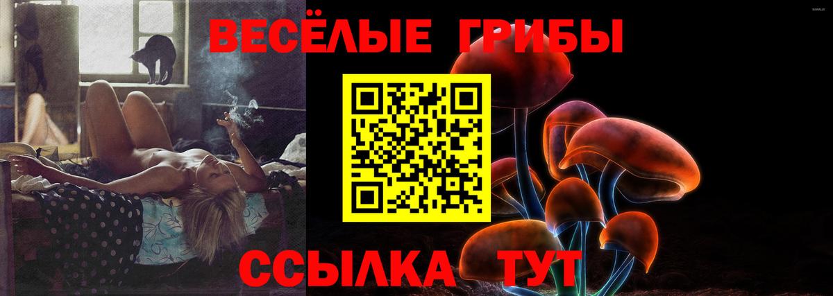 Боровичи  Галлюциногенные грибы мицелий  Вход с VPN 